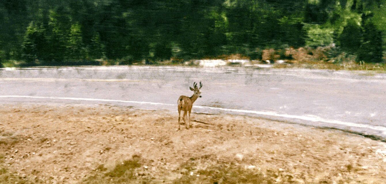 02_RealityLooksBack_Still