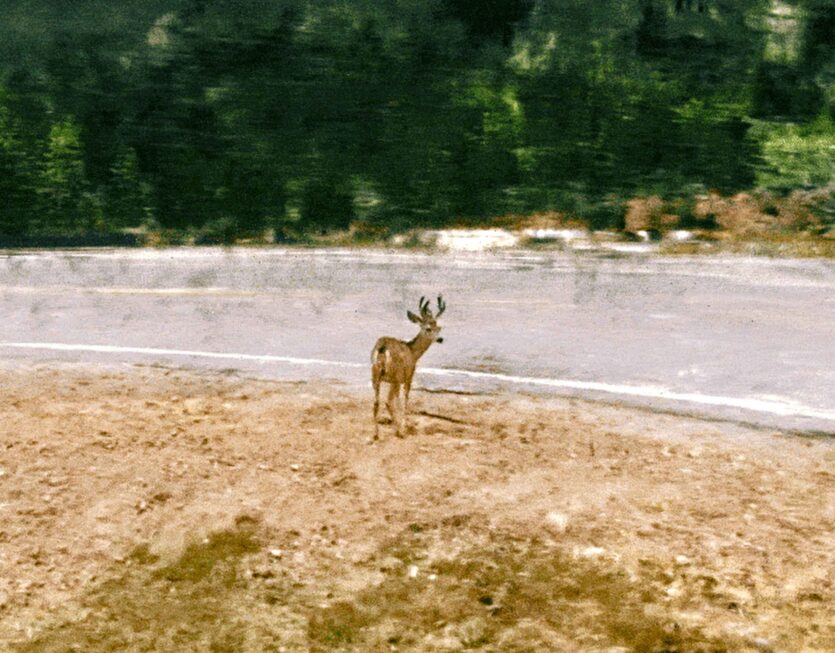 02_RealityLooksBack_Still