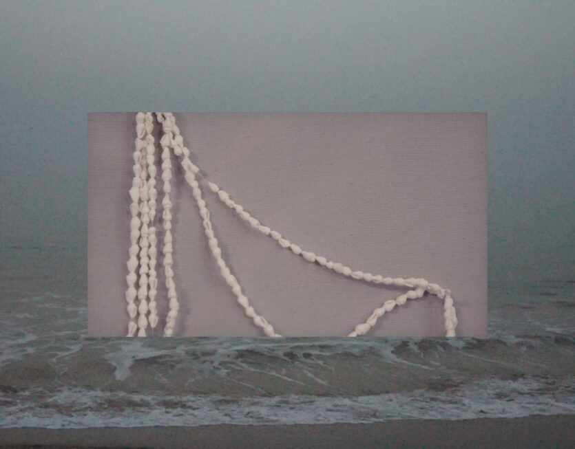 BFT_c_Edi_Sanou_Sow_Still001