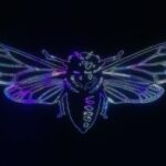 Debugging My Metamorphosis