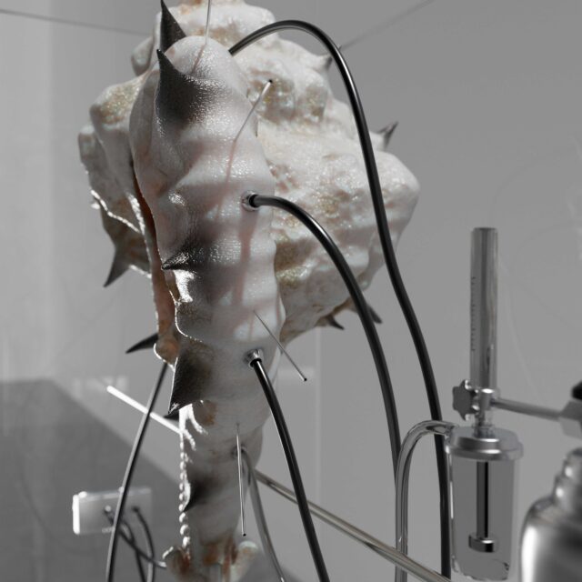 Forme-Evolutae_stillv02