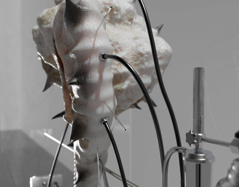 Forme-Evolutae_stillv02