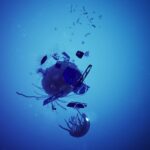 Ghost in the Apparatus