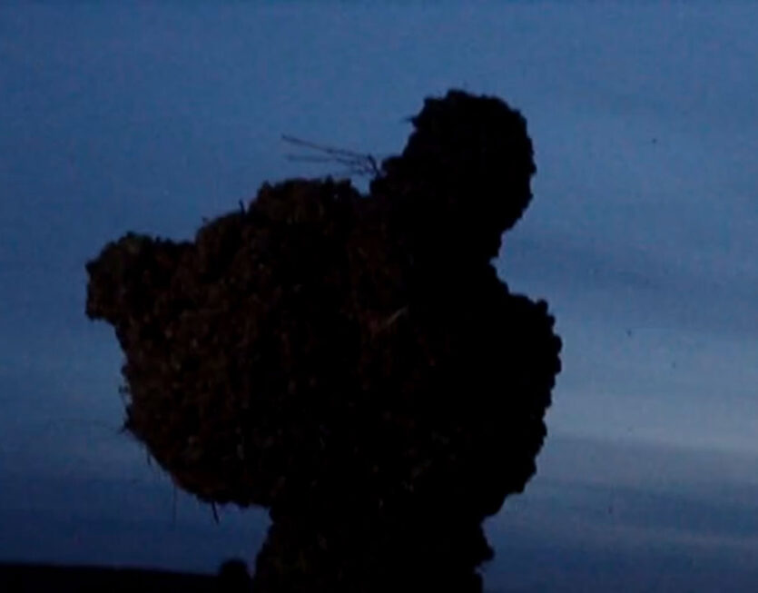 Limerence,-video,-2026-still