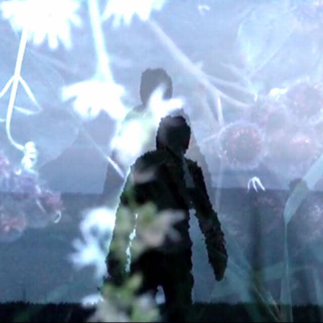 Limerence,-video,-2026-still(1)