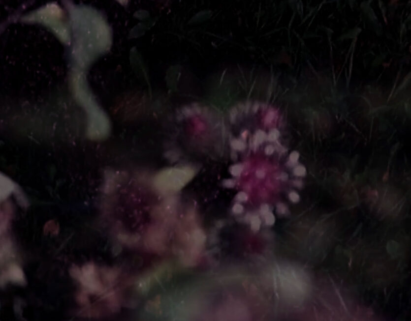 Limerence,-video,-2026-still(5)