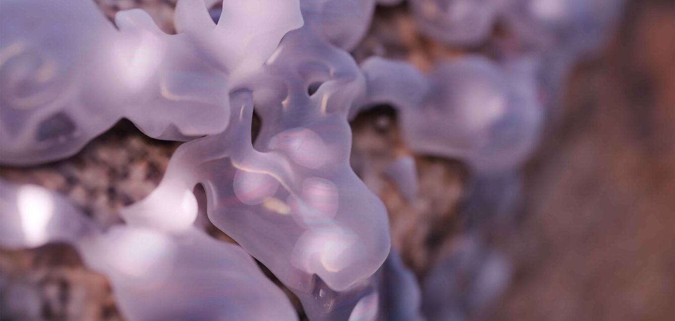 RadicalCOnnections–BeyondaSymbioticSensation_stillframe_PatríciaChamrazová_6