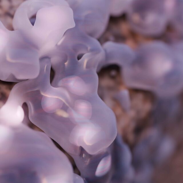 RadicalCOnnections–BeyondaSymbioticSensation_stillframe_PatríciaChamrazová_6