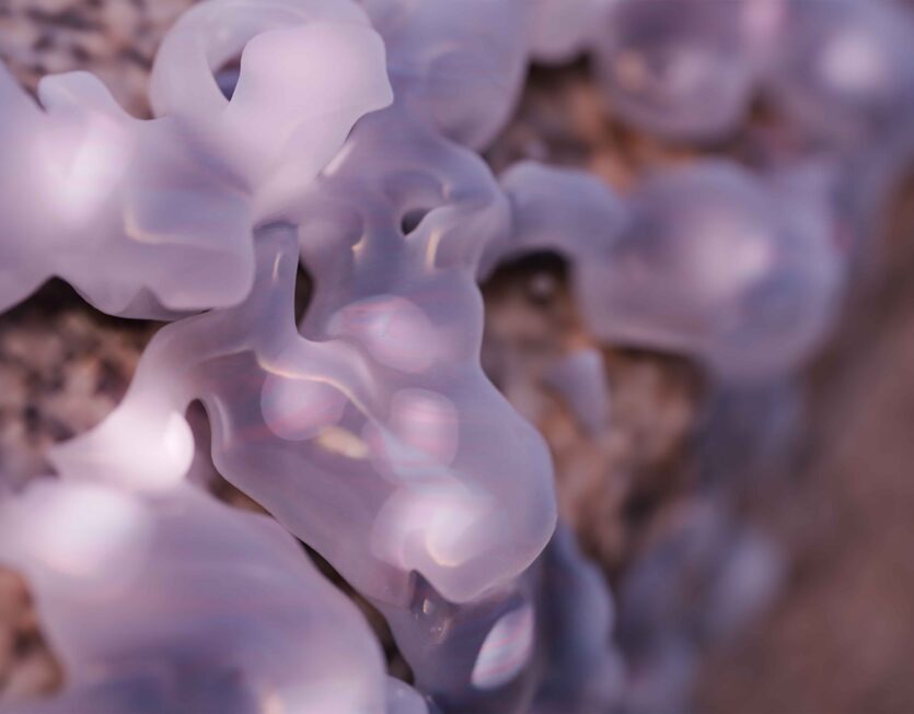 RadicalCOnnections–BeyondaSymbioticSensation_stillframe_PatríciaChamrazová_6