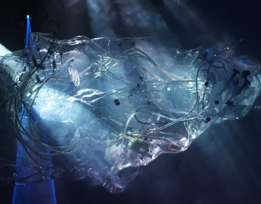 Unsettled_ Martina_Teigeiro_Verónica_Sabat_Cristina Planas_3