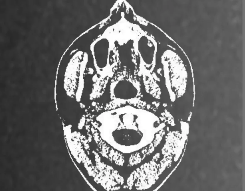 e92a3f8b-5704-42c8-bd25-8425d268dced